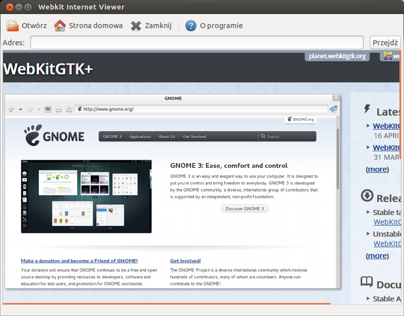 Webkit main window